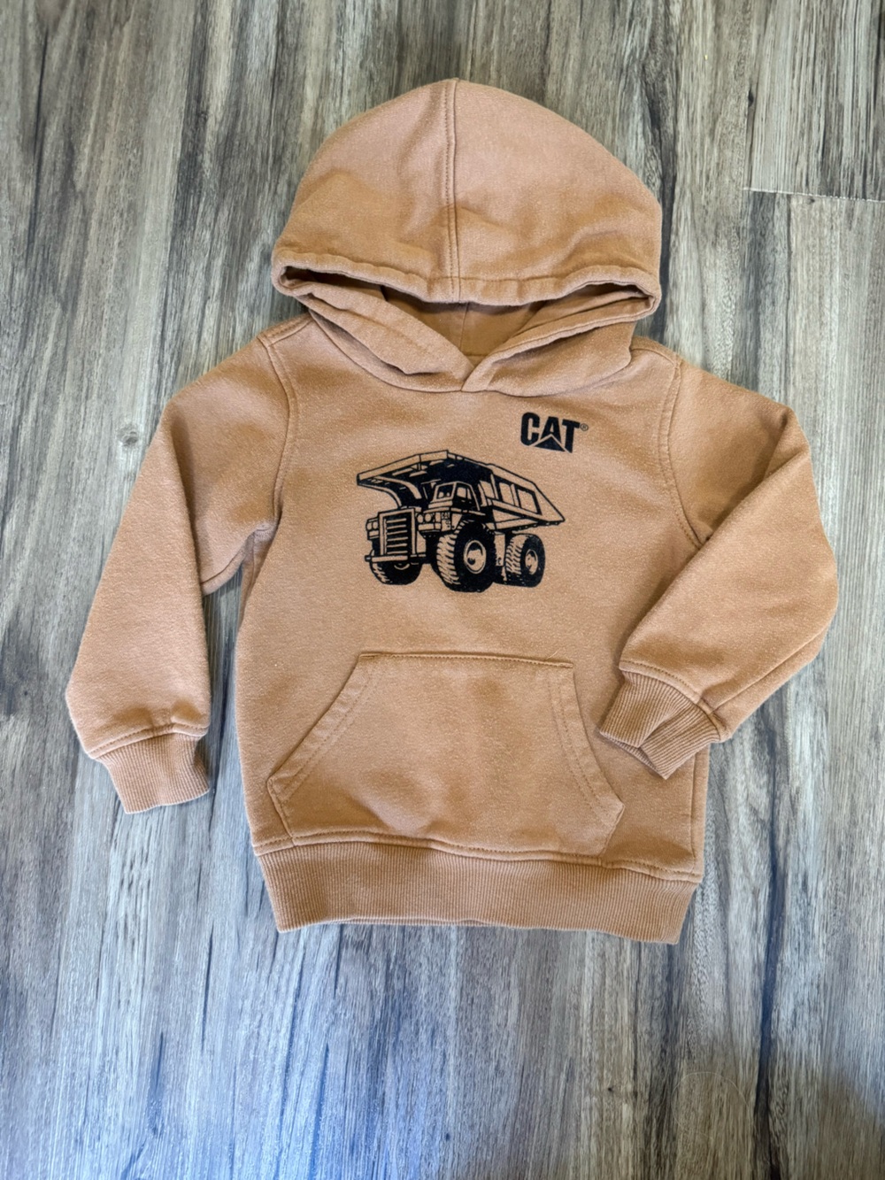 CAT Toddler Hoodie 24 months